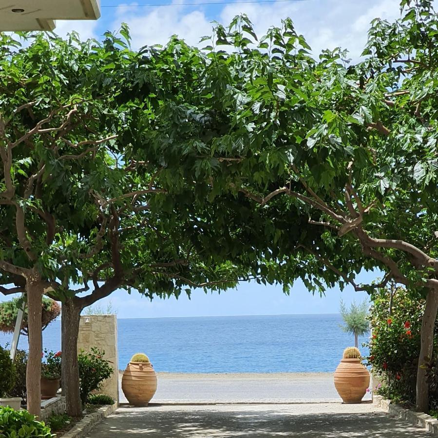 Eirini Apts On The Beach Psari Forada エクステリア 写真