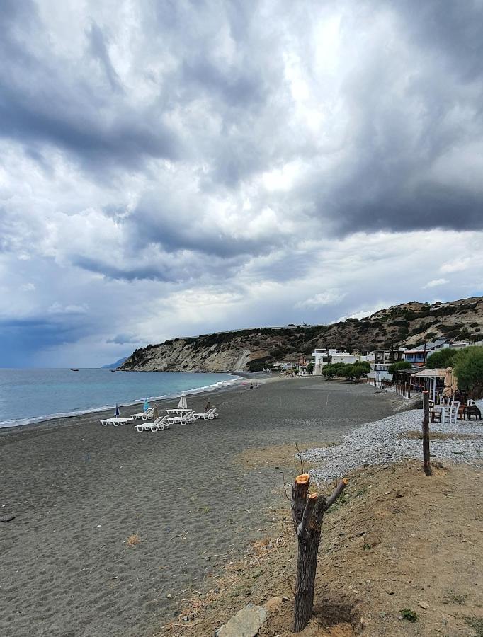Eirini Apts On The Beach Psari Forada エクステリア 写真