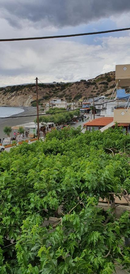 Eirini Apts On The Beach Psari Forada エクステリア 写真