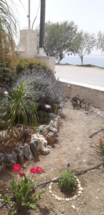 Eirini Apts On The Beach Psari Forada エクステリア 写真